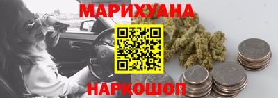 сатива Кандалакша