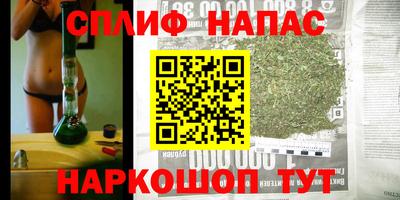 сатива Кандалакша