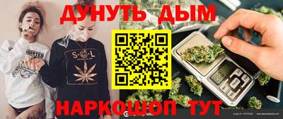 сатива Кандалакша