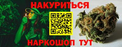 сатива Кандалакша