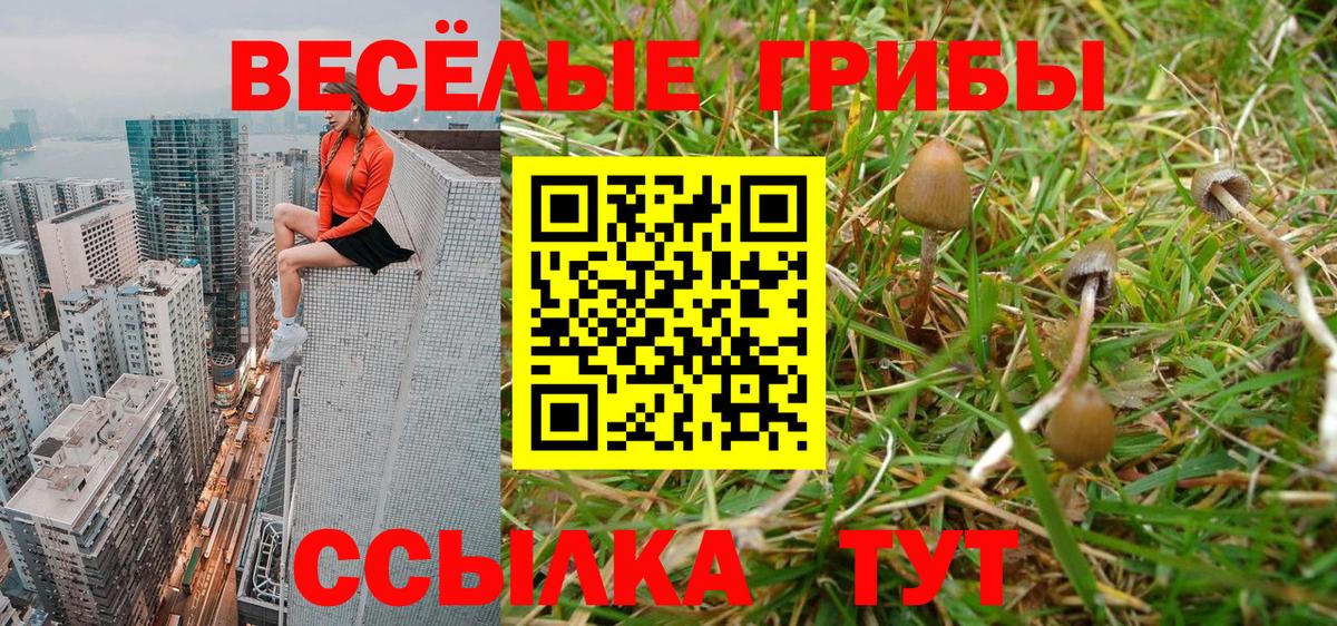 Псилоцибиновые грибы мухоморы  Вход с VPN  Курчалой  Галлюциногенные грибы Magic Shrooms 